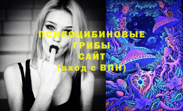 прущий лед Армянск