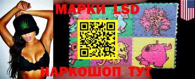 спиды Ставрополь