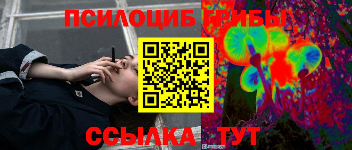 Псилоцибиновые грибы мицелий Пенза