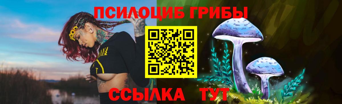 Галлюциногенные грибы мухоморы  Вход с VPN  Пенза 